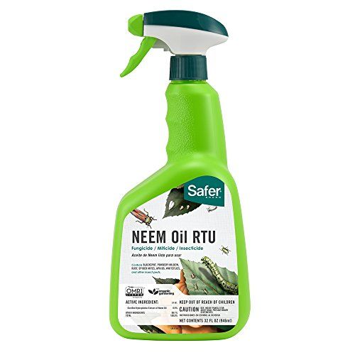Neem Oil Ready-to-Use Fungicide