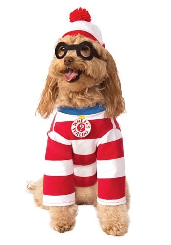 Where's Waldo Waldo Pet Costume