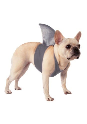 Shark Fin Dog Costume