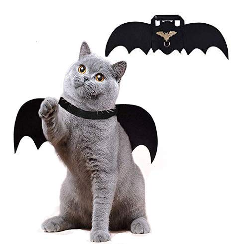Yolococa Cat Bat Wings 