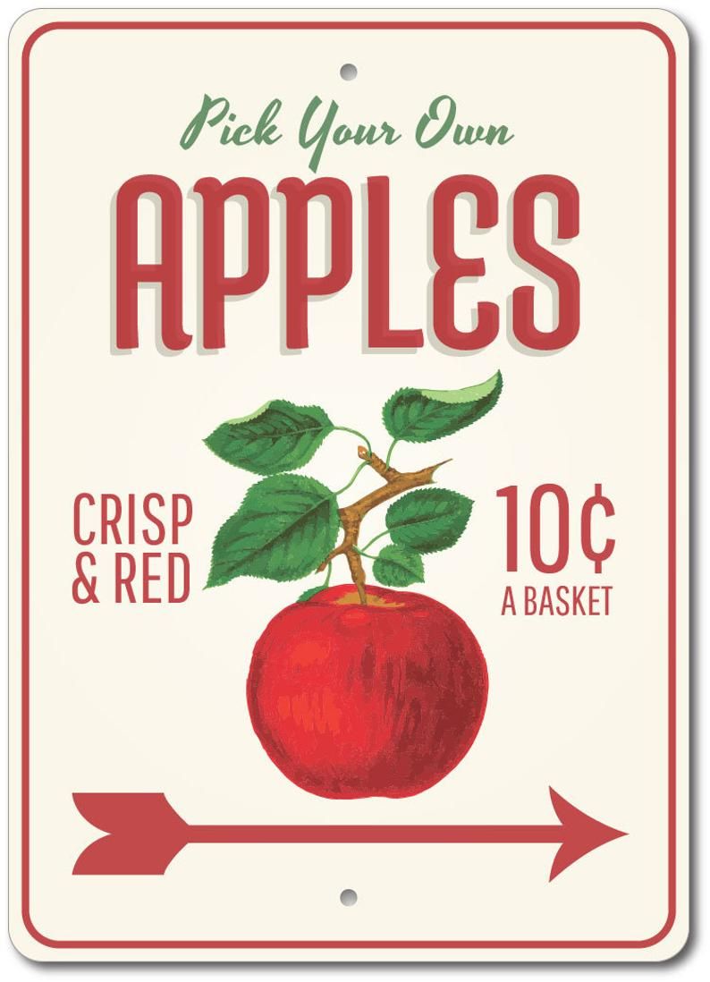 apple juice vs apple cider