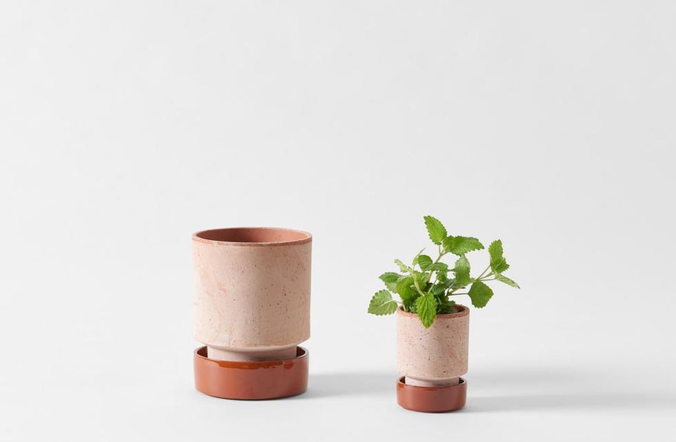 18 Best Indoor Planters - Stylish Pots for Indoor Plants