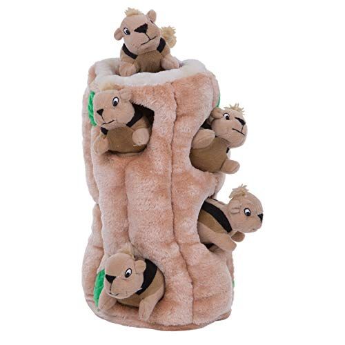Outward Hound Hide-A-Squirrel Squeaky Puzzle Plush Dog Toy - Hide and Seek Activity for Dogs