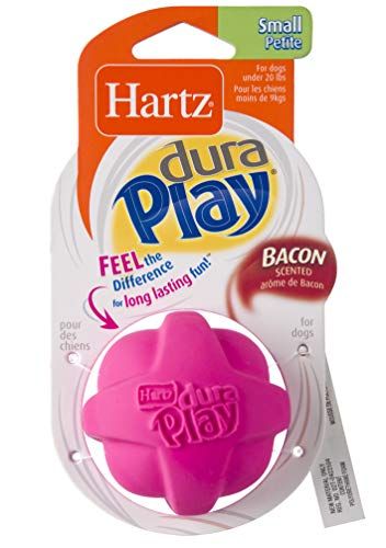 Hartz DuraPlay Bacon Scented Dog Toys