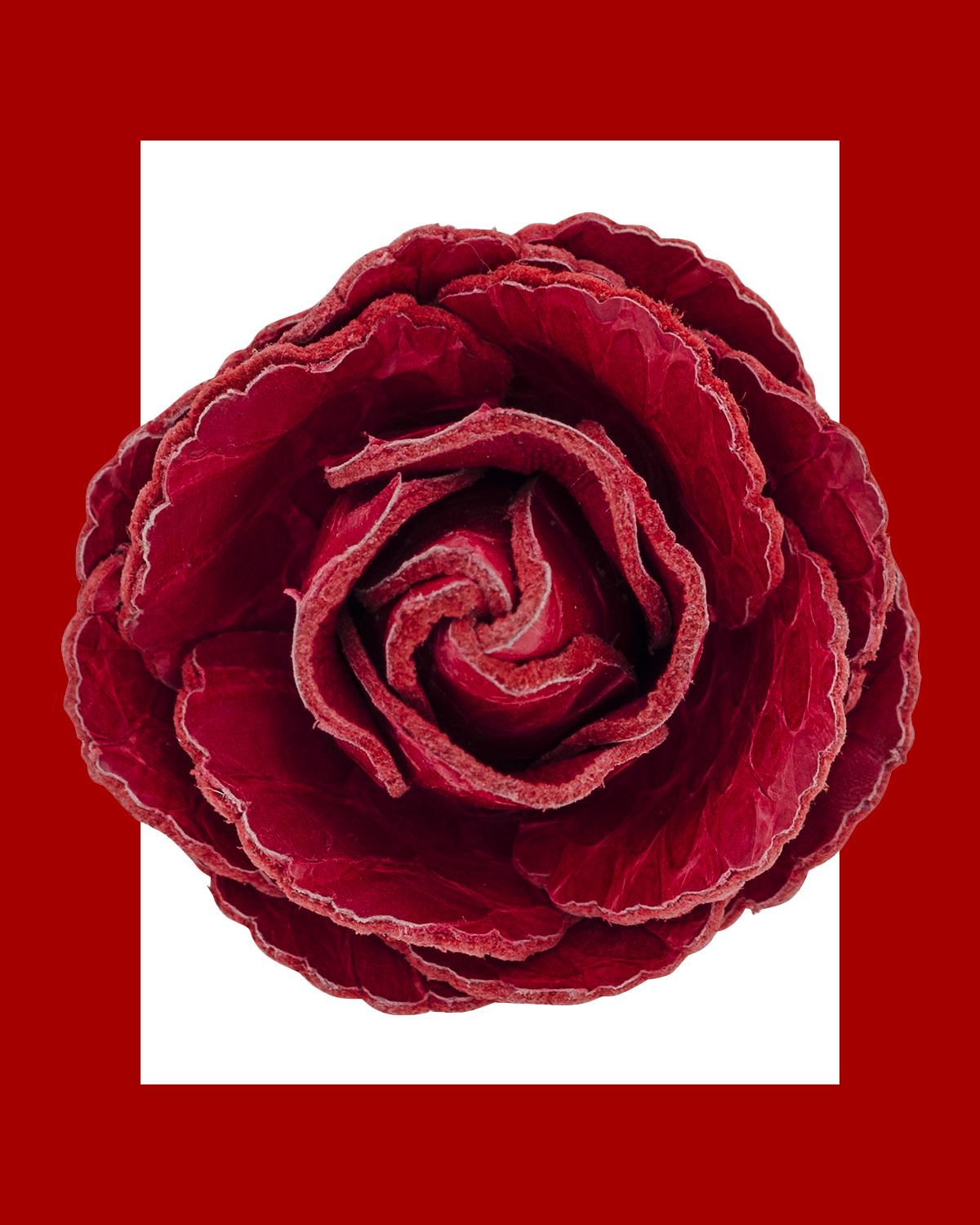 Ruby Red Python Classic Rose