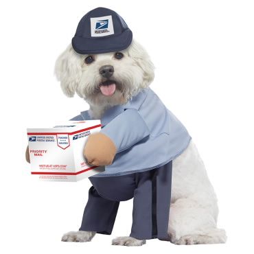 U.S. Mail Carrier Dog Costume