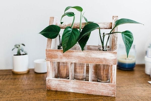 The Adults & Crafts Crate