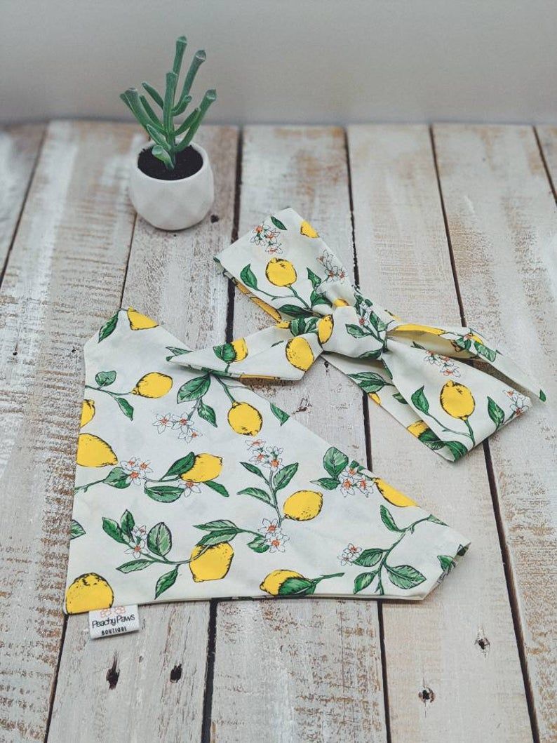 Lemon clearance dog bandana