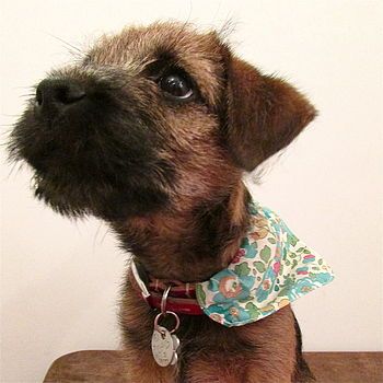 Neckerchief best sale for dogs