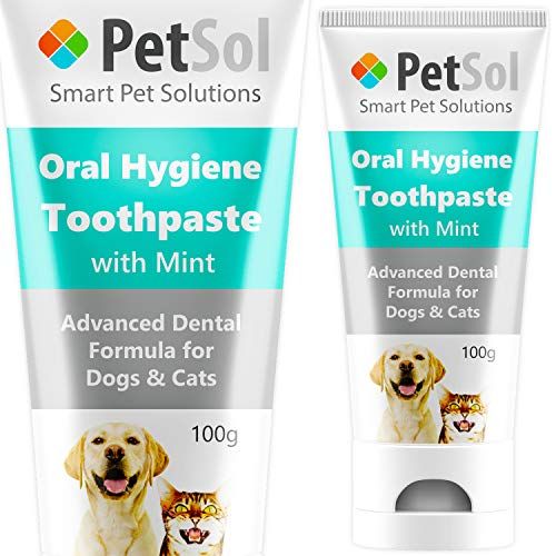 best yorkie toothpaste