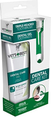 18 Best Dog Toothpaste To Buy In 2021 + Canine Oral Health Tips