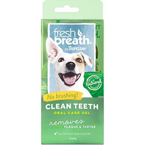 top rated dog toothpaste