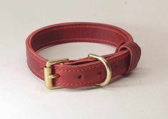 leather dog collars