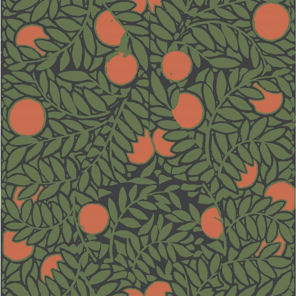 Orange Grove in Forest/Orange Removable and Repositionable Wallpaper