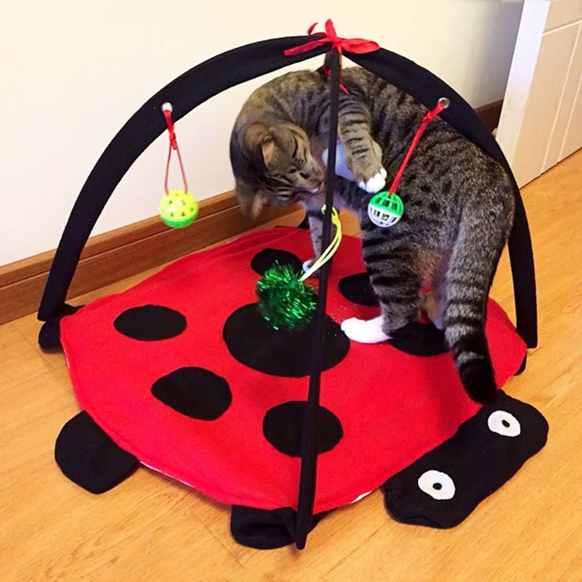 most popular cat toys 2020