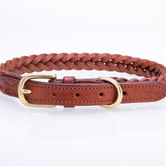 15 Best Leather Dog Collars for 2022