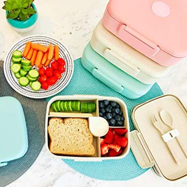Eco Friendly Bento Lunch Box with Cutlery 