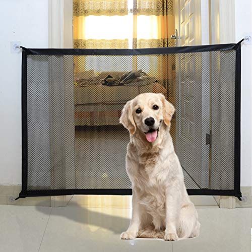 Sturdy Dog Gates to Keep Your Dog Safe 