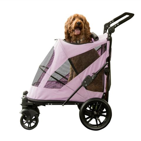 13 Dog Strollers The Best Strollers for Dogs