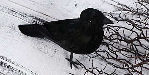 Get the Look: Feathered Prop Crow 