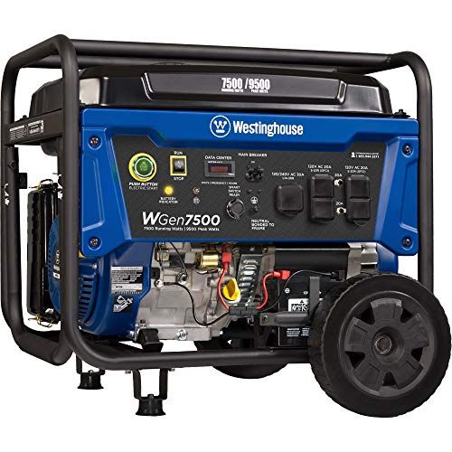 portable generator cost