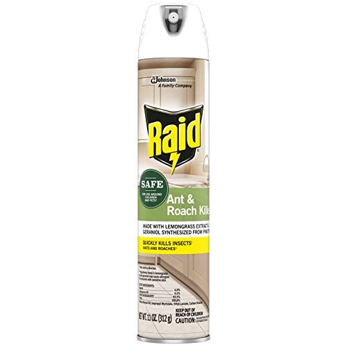 Raid Ant & Roach Killer Spray 