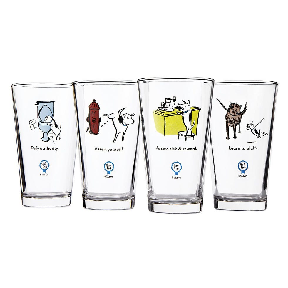  Geyee Dog Lovers Pens Set Funny Dog Lovers Gifts for