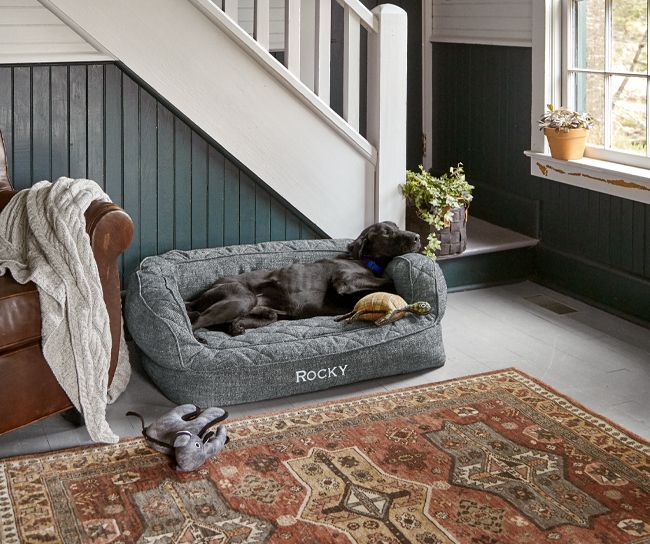 Designer dog beds on sale for large dogs