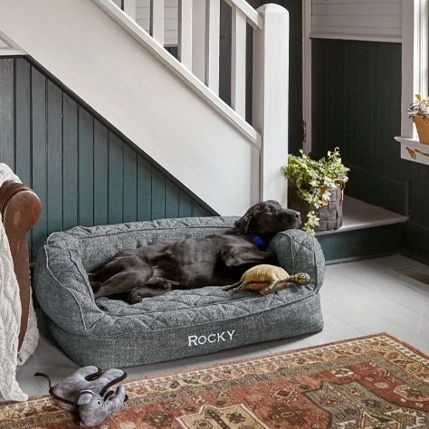 Luxury Dog Beds That'll Add to Your Home Decor