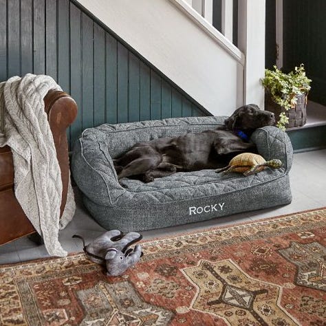 Orvis Memory Foam Couch Dog Bed