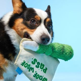 Exclusive: BarkBox Is Bringing Back Its Sold-Out Weed Toys for 4