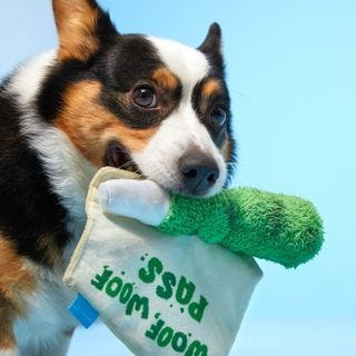 Exclusive: BarkBox Is Bringing Back Its Sold-Out Weed Toys for 4/20 This  Year