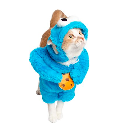 Cat in a Cookie Monster Costume