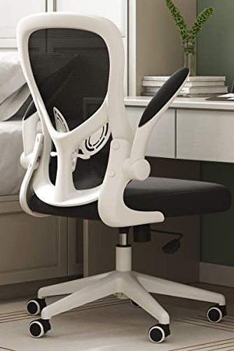 Ergonomic Desk Chair with Lumbar Support
