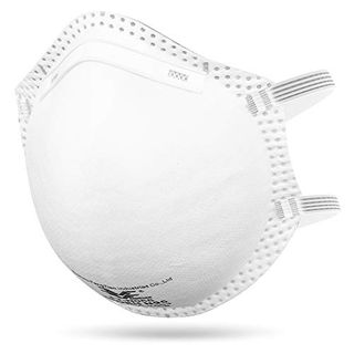 Disposable Respirator Masks (20 Count)