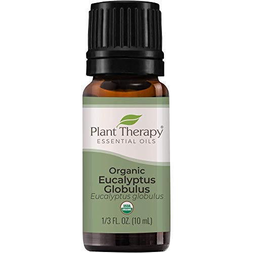 Organic Eucalyptus Globulus Essential Oil