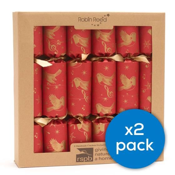 Gold Fill your own Pack of 6 Christmas Cracker Kit Make Rose Gold