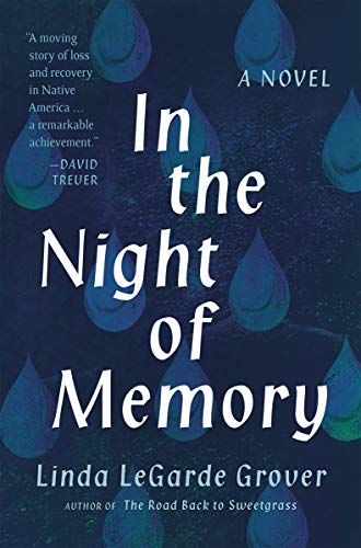 In the Night of Memory: A Novel