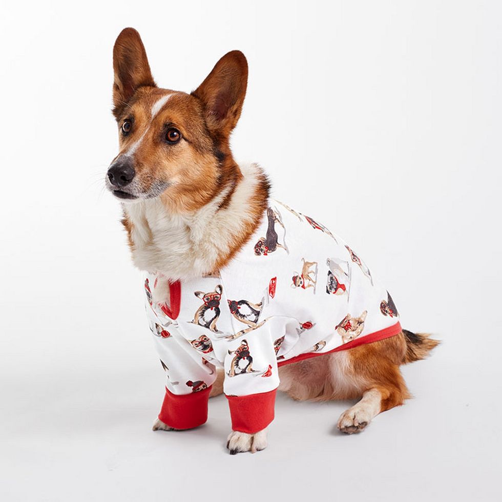 Cotton Dog Pajamas 