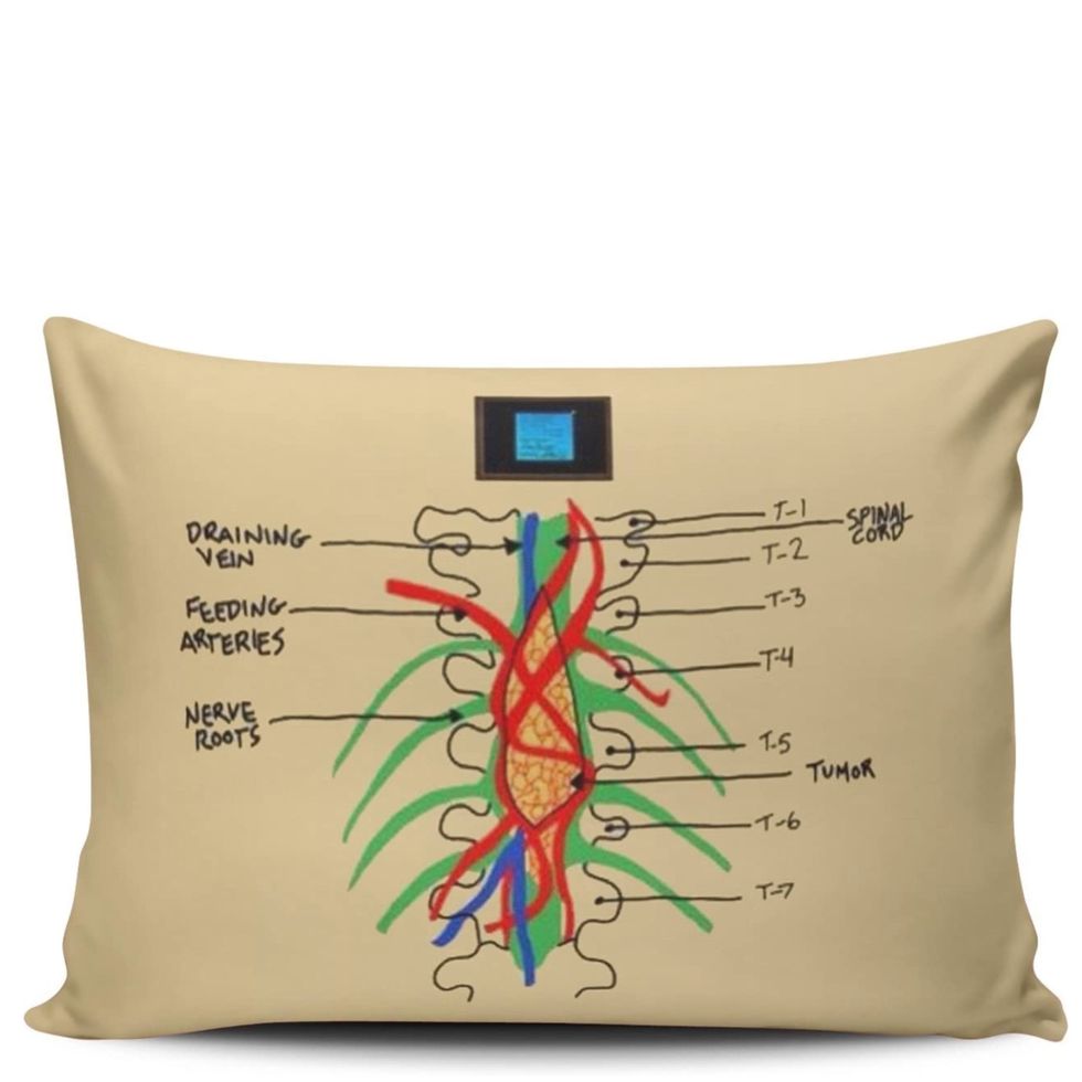 <i>Grey's Anatomy</i> Pillow