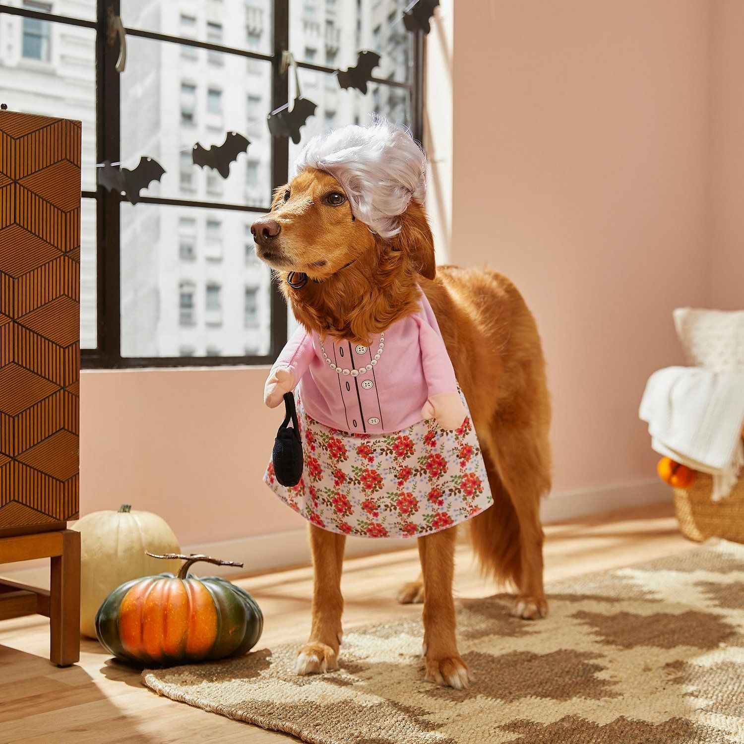 halloween costumes for dogs