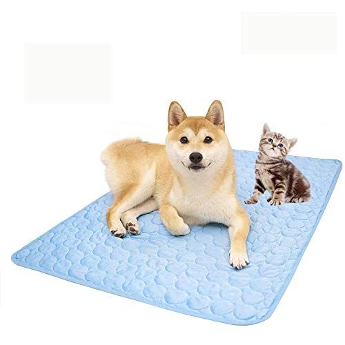 Dog ate hot sale cooling mat