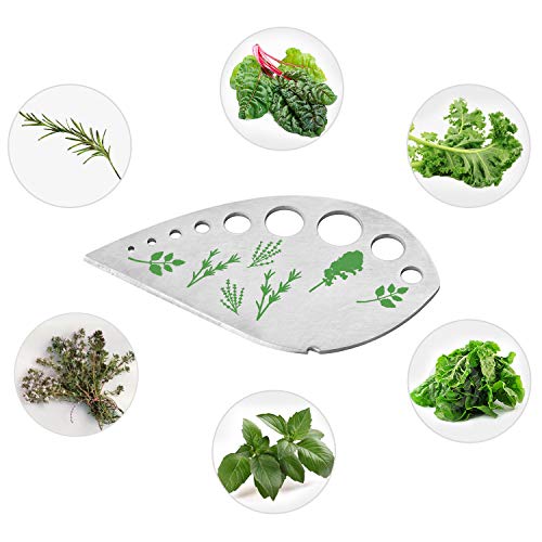 Best Deal for Herb Stripper Kitchen Herb Stripping Tool, Leafy