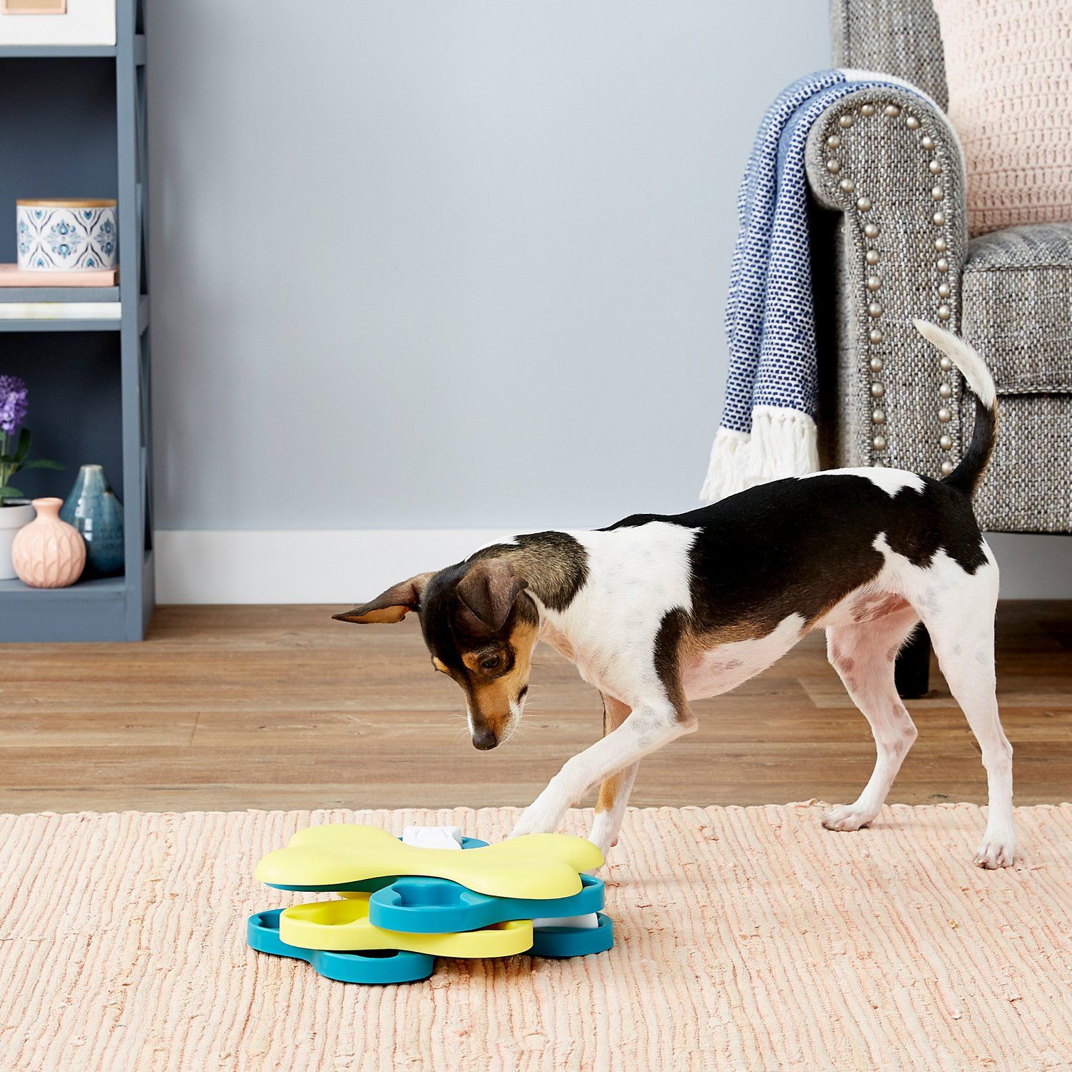 best toys for hounds