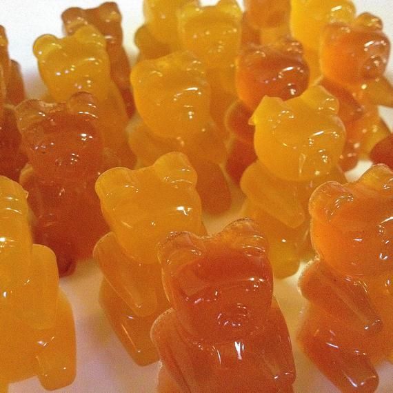 VineGelee Pumpkin Spice Gummy Bears 