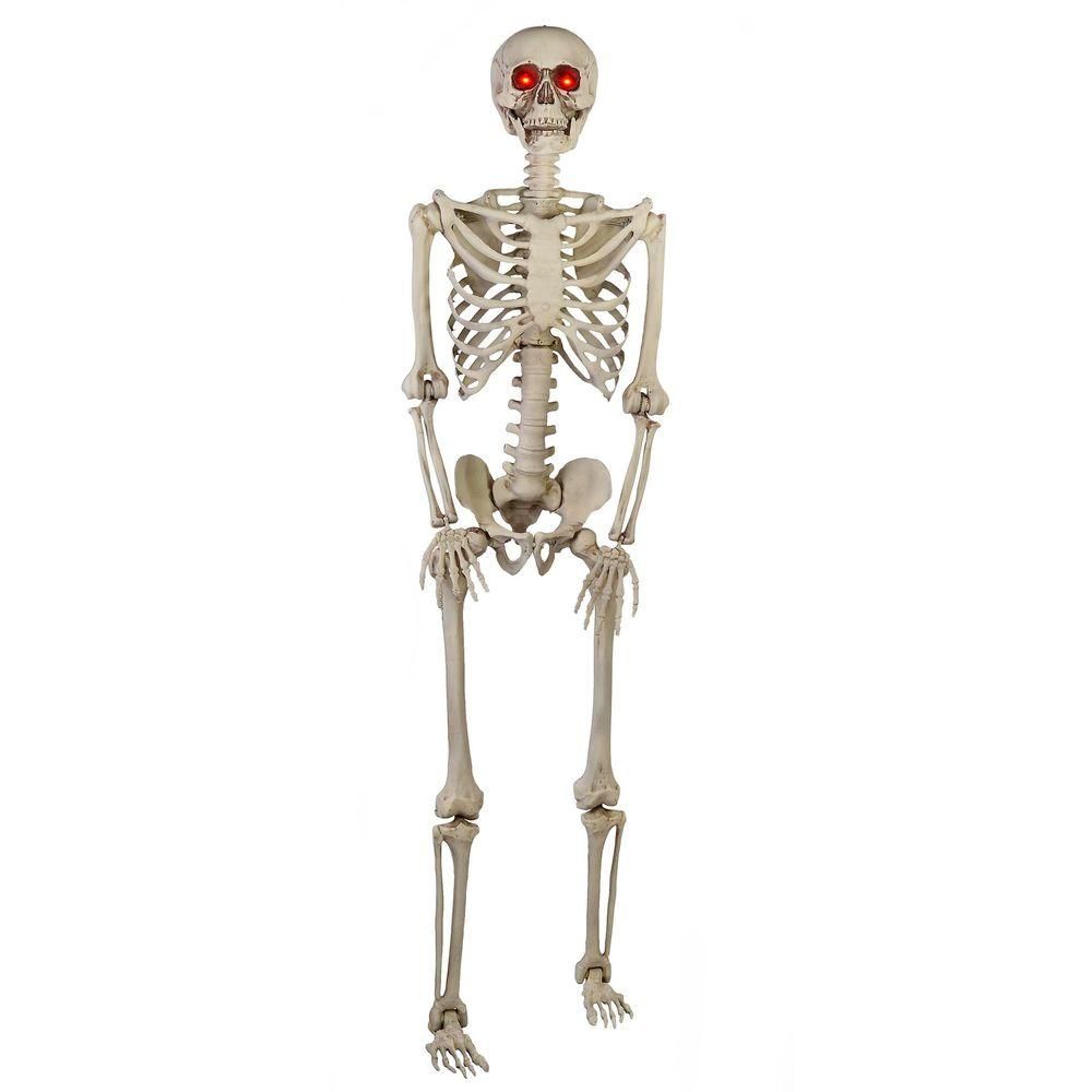 5-Foot LED Pose-N-Stay Skeleton