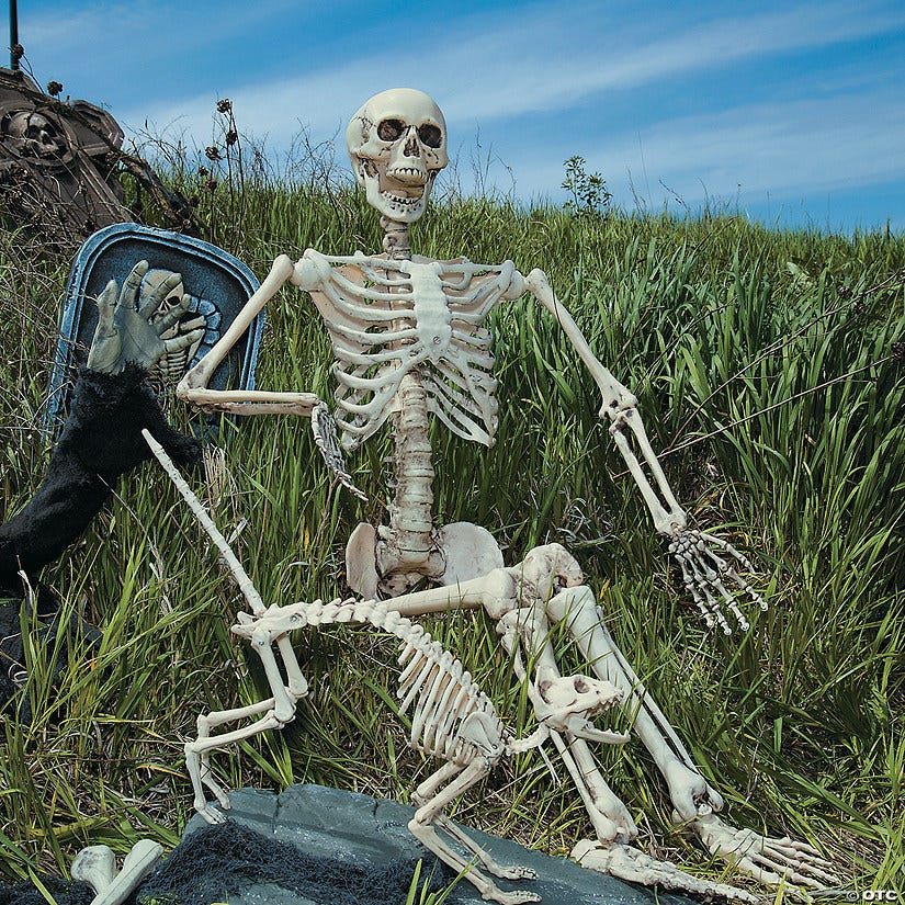 Life-Size Posable Skeleton