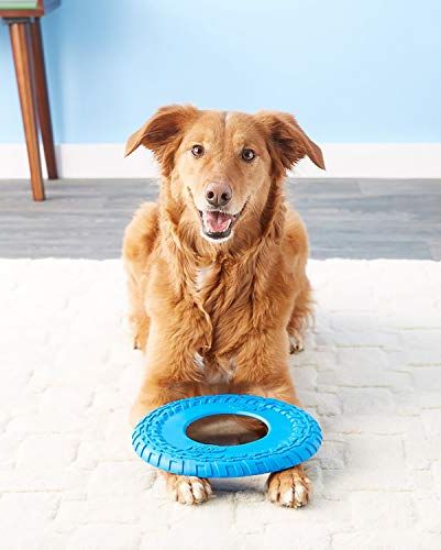 Rubber Tire Flyer Dog Toy