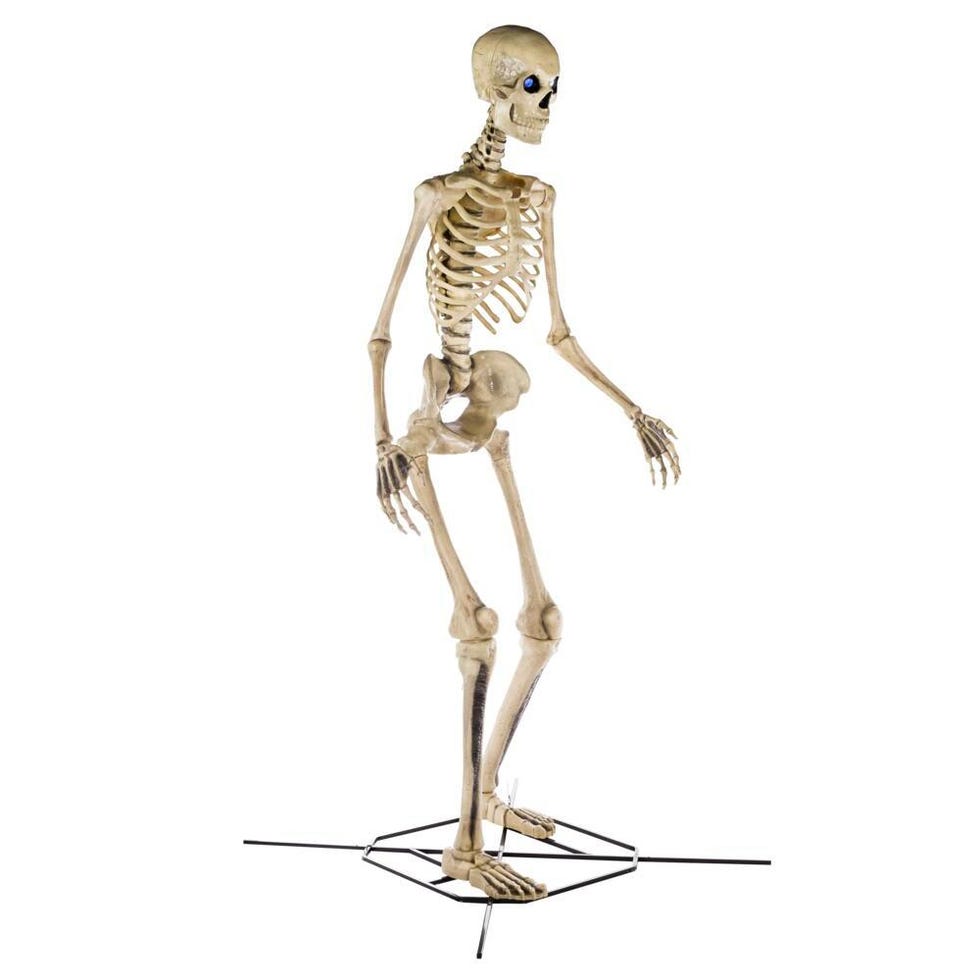 12 ft. Giant-Sized Skeleton with LifeEyes
