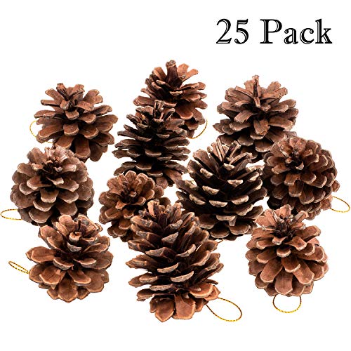 Rustic Pine Cones Ornaments 